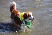 IMG_1508
