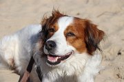 IMG_1515