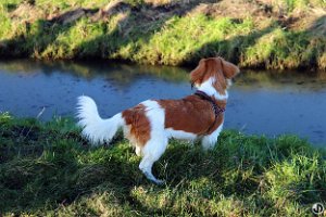 39