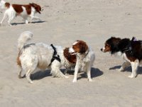 IMG 0340