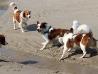 IMG 0372