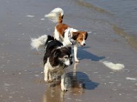 IMG 0397