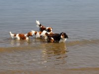 IMG 0406
