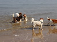 IMG 0409