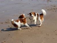 IMG 0421
