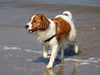 IMG 0428