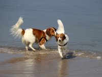 IMG 0430