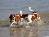 IMG 0446