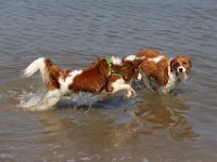 IMG 0477