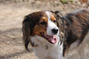 IMG_0007