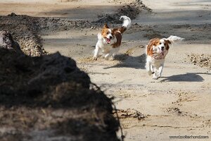 IMG_0019