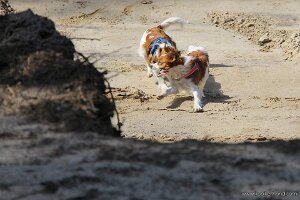 IMG_0020