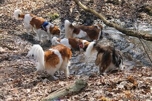 IMG_0028