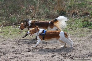 IMG_0041