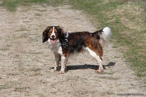 IMG_0052
