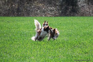 IMG_0065