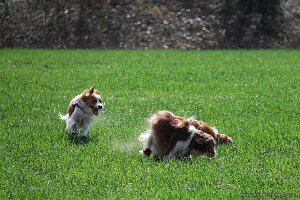 IMG_0067