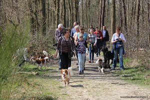 IMG_0068