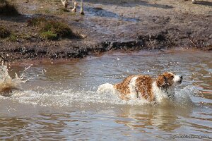 IMG_0079
