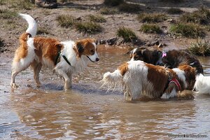 IMG_0080