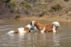 IMG_0096