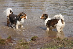 IMG_0108