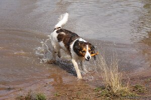 IMG_0115