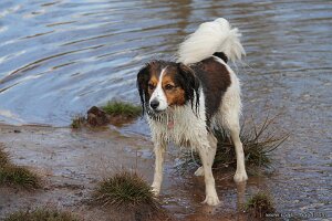 IMG_0117