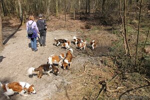 IMG_0136