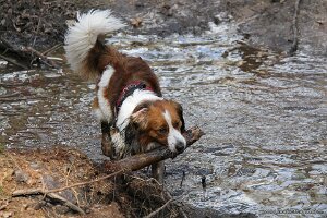 IMG_0139