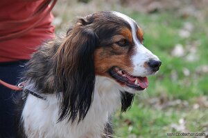 IMG_0146