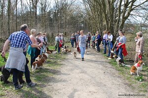 IMG_0155