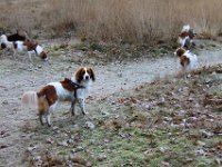 IMG 058