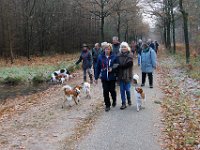 IMG 065