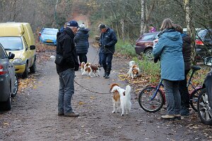 IMG_005