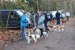 IMG_006