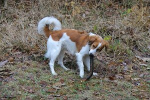 IMG_027
