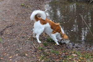 IMG_028