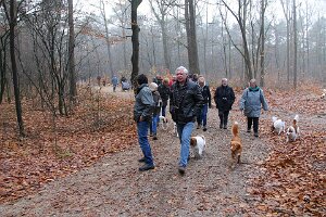 IMG_029