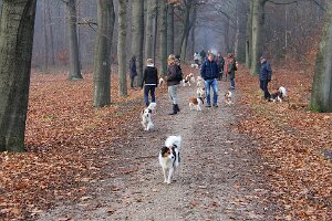 IMG_030
