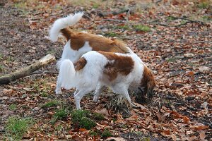 IMG_033
