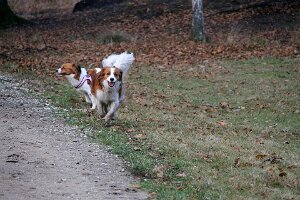 IMG_035