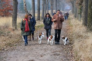 IMG_040