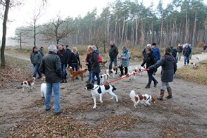 IMG_041