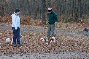 IMG_045