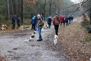 IMG_047