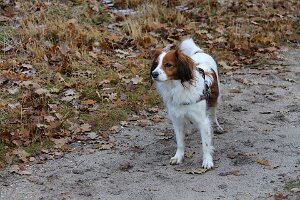 IMG_052