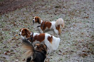 IMG_054