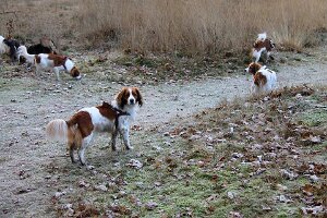 IMG_058