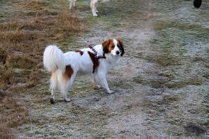 IMG_060
